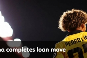 官方：狼队19岁右后卫佩德罗-利马租借加盟波尔图