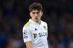 TA报利兹联伤情：D-詹姆斯、博格有望复出，尼翁托缺席