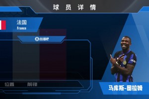 法国前锋小图拉姆集锦